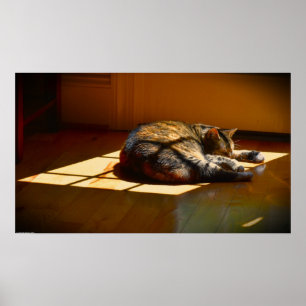 Poster Jours Lents,