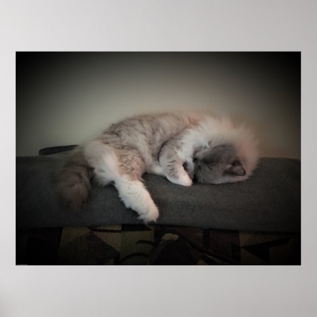 Poster Jours Lents, (Devant)