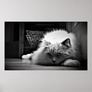 Poster Jours Lents,