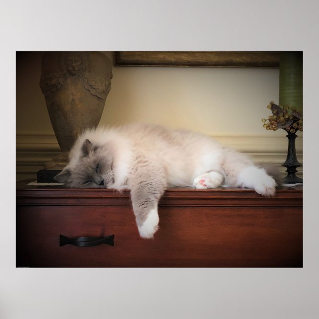 Poster Jours Lents, (Devant)