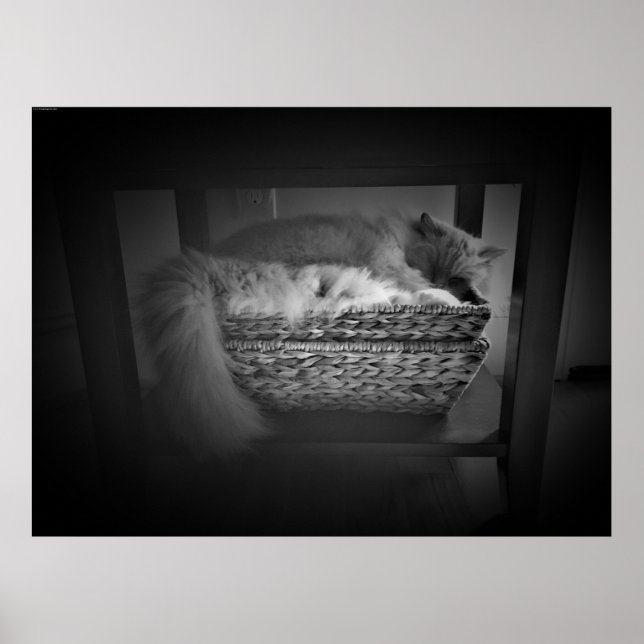 Poster Jours Lents, (Devant)