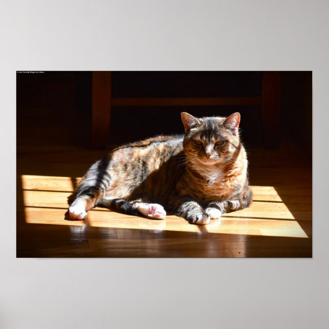 Poster Jours Lents, (Devant)