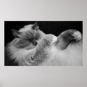 Poster Jours Lents,