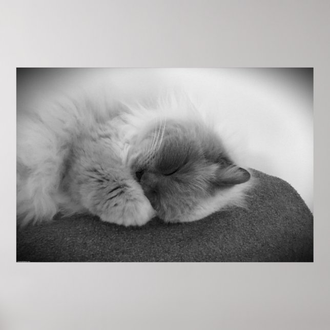 Poster Jours Lents, (Devant)