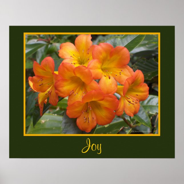 Poster Joy Zen Méditation Orange Fleurs Modèles photo (Devant)