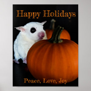 Poster Joyeuses fêtes