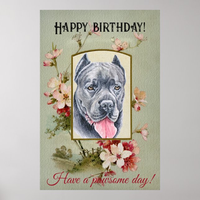 Poster Joyeux anniversaire Salutations Cane corso (Devant)