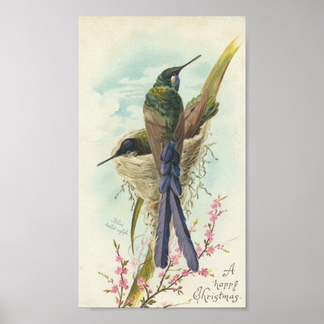 Poster Joyeux Colibri Vintage de Noël (Devant)