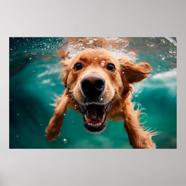 Poster Joyeux Golden Retriever nager sous l'eau (Devant)