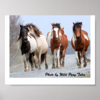 Poster Joyeux Joggers