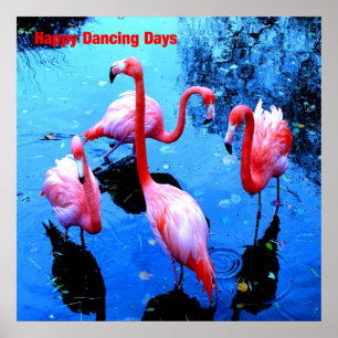 Poster Joyeux Jours de danse flamants