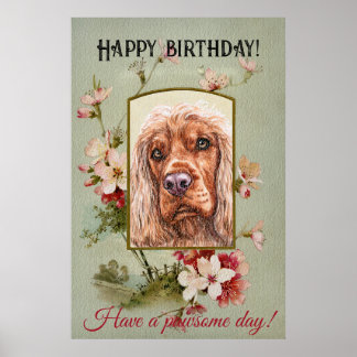 Poster Joyeux voeux d'anniversaire anglais cocker spaniel