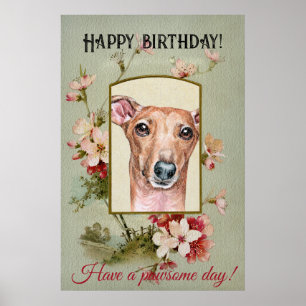 Poster Joyeux voeux d'anniversaire italien Greyhound