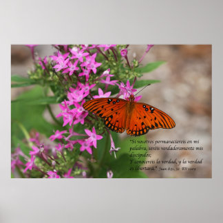 Poster Juan 8:31, 32 con Mariposa Gulf Fritillary