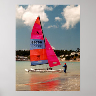 Poster Jugeant le Hobie régulier