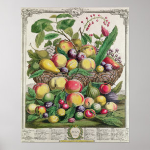 Poster Juillet, "Douze mois de fruits"