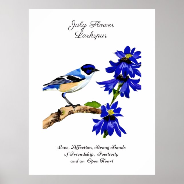 Poster Juillet Mois de naissance Fleur Bluebird et Larksp (Devant)