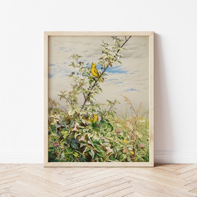 Poster Juin | Ponts Fidelia (Créateur téléchargé)