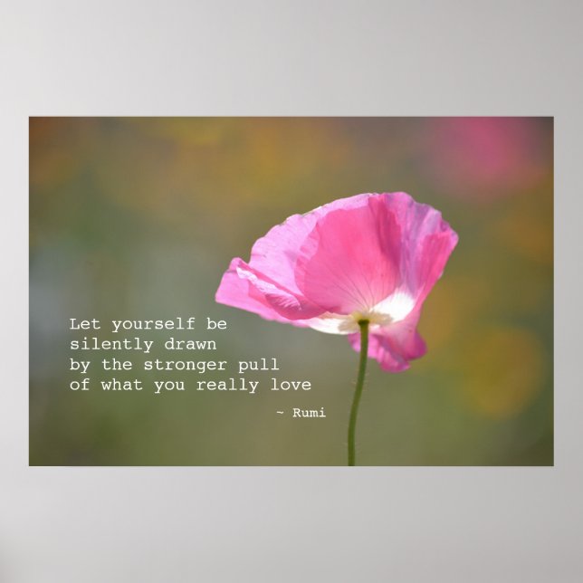 Poster Juin Poppy (Devant)