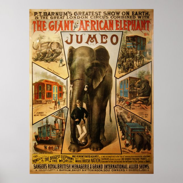Poster Jumbo, l'affiche géante des éléphants africains (Devant)