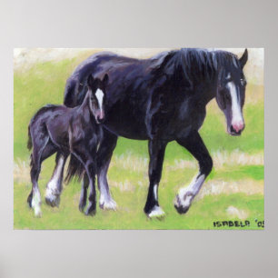 Poster Jument de Clydesdale et portrait de cheval de