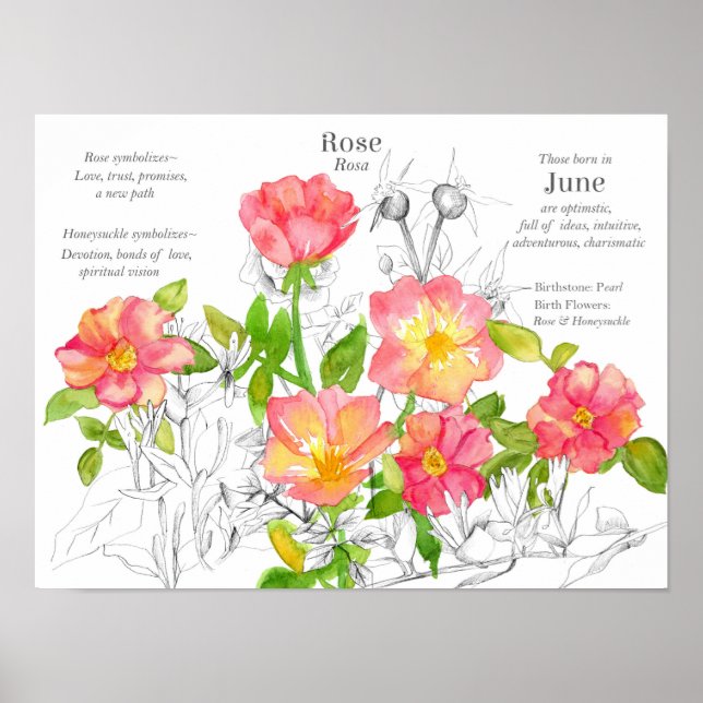 Poster Jun Anniversaire Wild Roses Honeysuckle Fleurs (Devant)