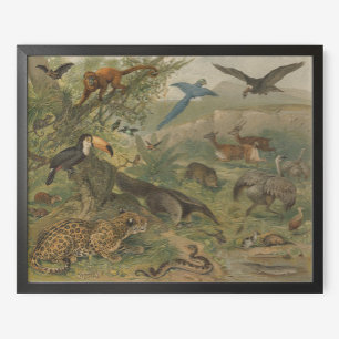 Poster Jungle Jaguar et amis des animaux