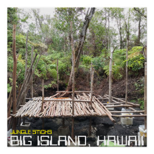 POSTER JUNGLE STICKETS GRANDE ÎLE HAWAII