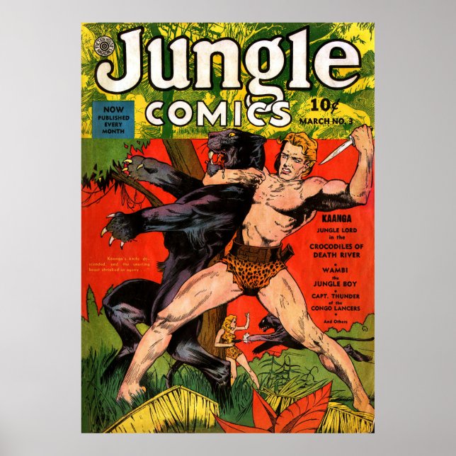 Poster Jungle Tarzan & Black Panther Comics Vintages (Devant)