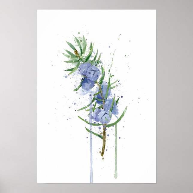 Poster Juniper (Devant)