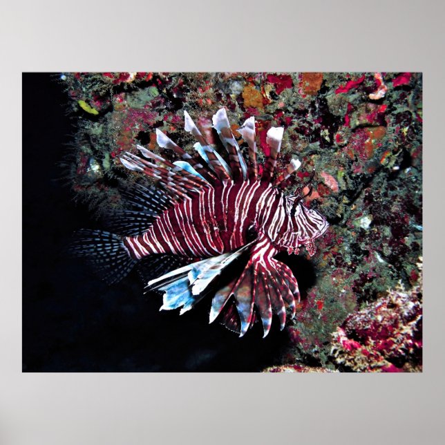 Poster Jupiter Invader (Devant)