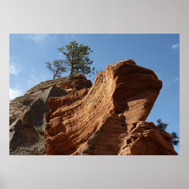 Poster Jusqu'à Angels Landing dans le parc national de Si (Devant)