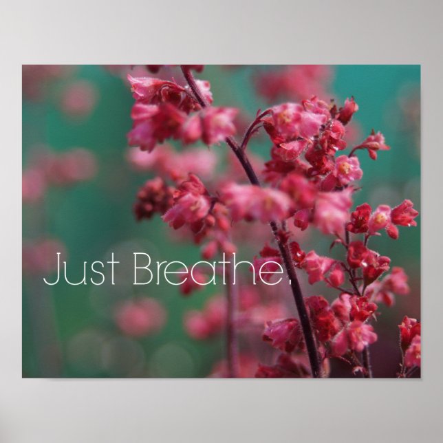 Poster Juste Breathe (Devant)