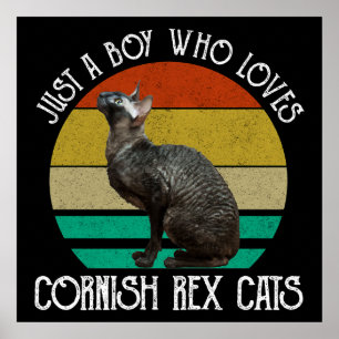 Poster Juste un garçon qui aime les chats Cornish Rex