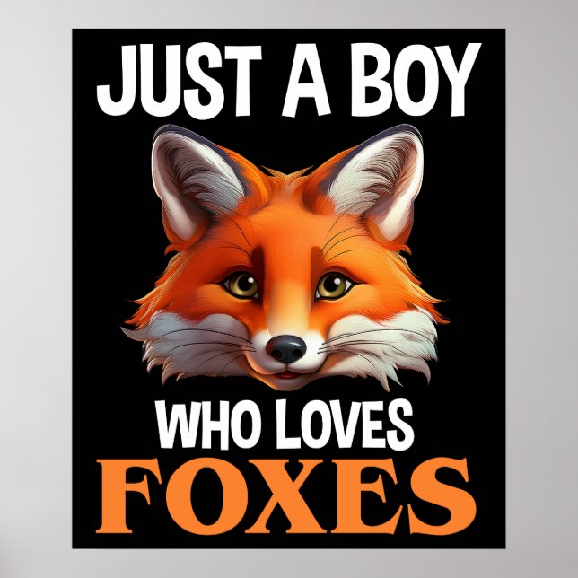 Poster Juste Un Garçon Qui Aime Les Renards (Devant)