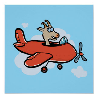 Poster juste une chèvre volant un avion
