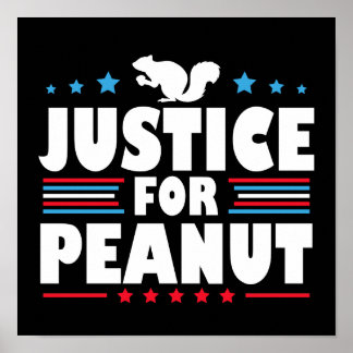 Poster Justice pour Peanut l'écureuil