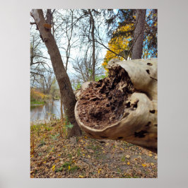 Poster Juxtposition de Décay et de Vie