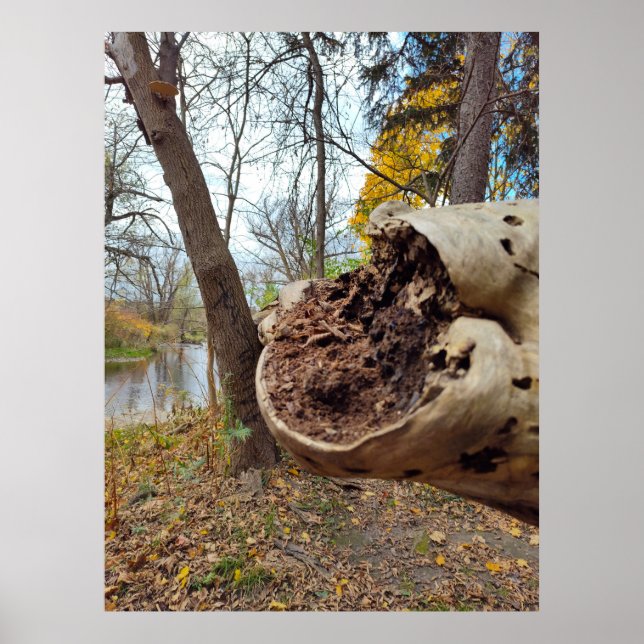 Poster Juxtposition de Décay et de Vie (Devant)