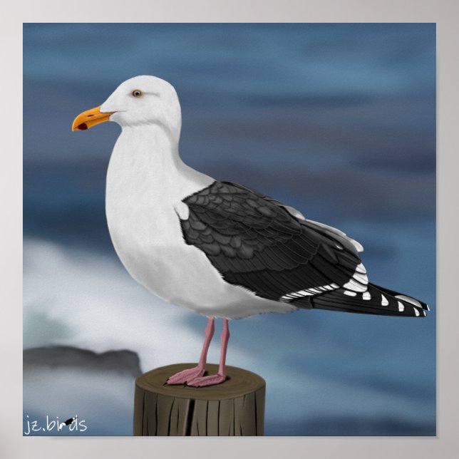 Poster jz.birds Möwe (Devant)