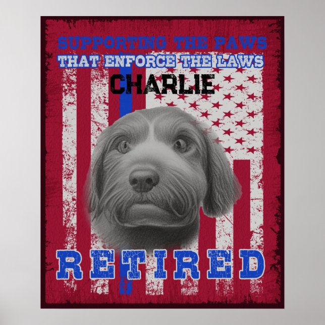 Poster K-9 Vétéran de travail espagnol chien d'eau person (Devant)