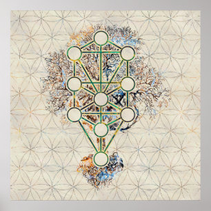 Poster Kabbalah L'arbre de vie - Etz Hayim