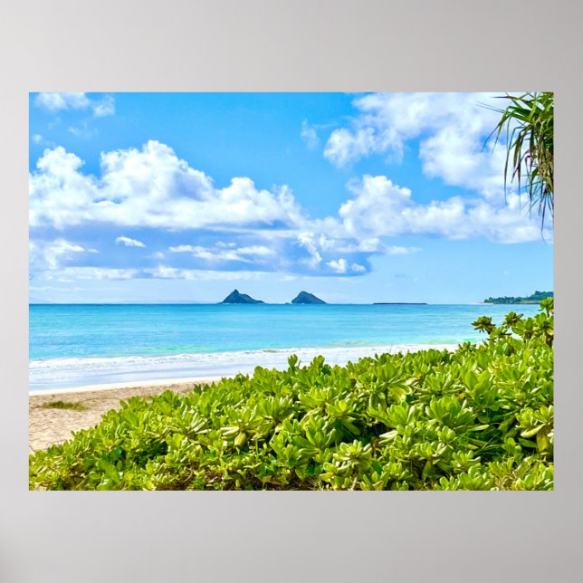 Poster Kailua, Oahu (Devant)