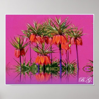 Poster Kaiserkrone/Fritillaria imperialis