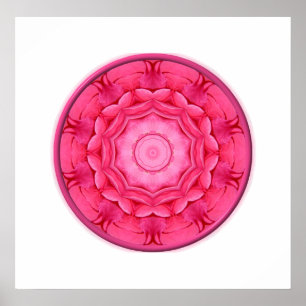 Poster Kaléidoscope rose de roses