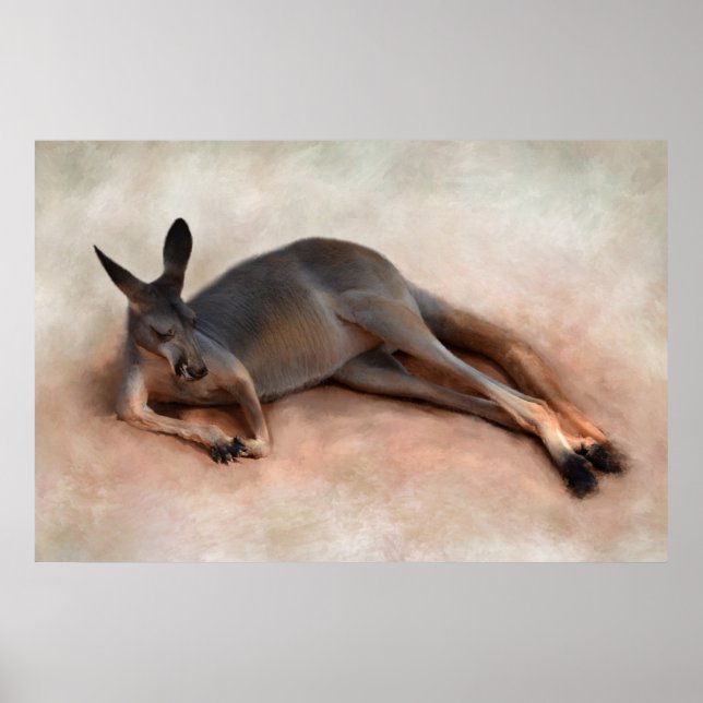 Poster Kangaroo (Devant)