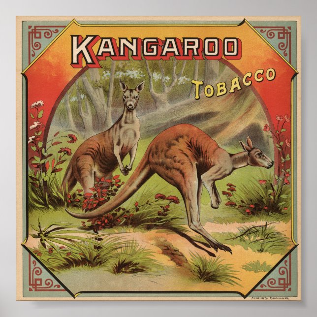 Poster Kangaroo Tobacco 1900 (Devant)