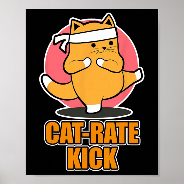 Poster Karate Conception Chat Pour Les Ventilateurs De Sp (Devant)