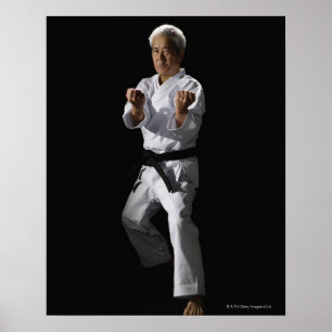 Poster Karate master, portrait, studio photo 2