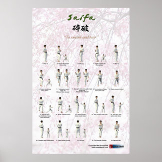 Poster Kata Saifa - Goju Ryu version